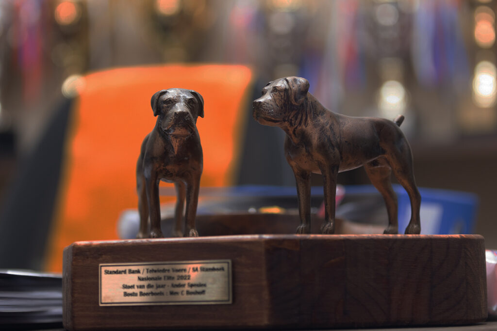 alt="SA Stamboek National Elite 2022 Dog Stud of the year trophy"